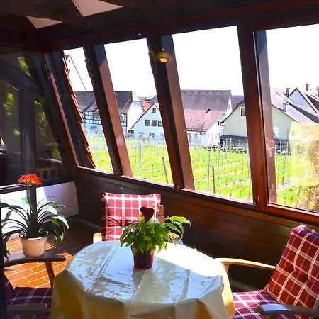 Haus Gnaedinger * Hagnau